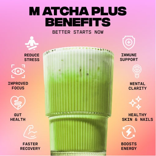 Matcha+ Starter Kit (30 Servings) - Cafe Daily Ritual